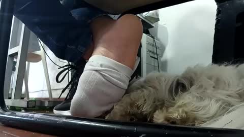 WaltherFeet  online show from January 16, 8:25 pm