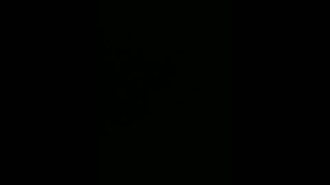 warp147 online show from April 11, 2:41 am