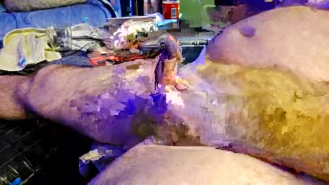 Pussy Lover online show from February 13, 11:15 pm