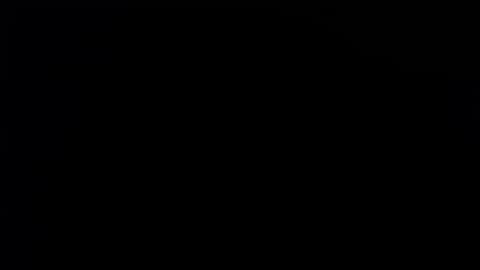 wellingtont online show from November 17, 1:52 am