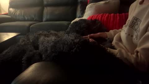 wellocal online show from December 21, 8:06 pm