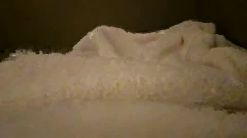 Snapshot of what_whaaat chatting on October 15, 4:31 am what_whaaat online show from October 15, 4:31 am