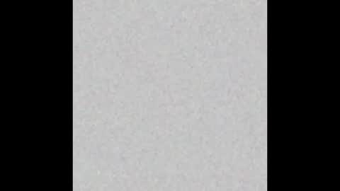 whattheylike online show from March 23, 2:28 am