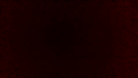 whitebulgarian online show from February 10, 11:15 am