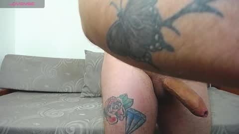 Dylan white online show from January 11, 5:07 pm