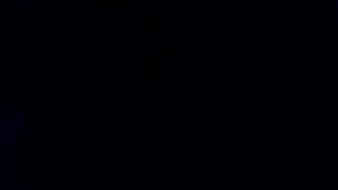 whitehead_lion online show from January 29, 2:00 pm