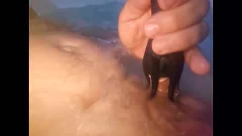 whiteoak19522 online show from April 14, 10:04 am