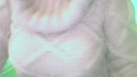 whitesweater online show from March 10, 7:33 am