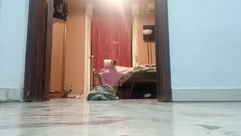 the alpha man online show from October 11, 11:42 pm