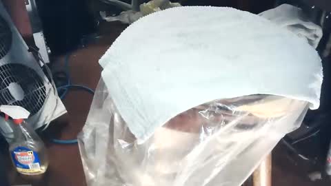 wildman6 online show from March 7, 8:17 pm