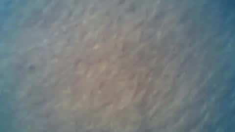 wildman6 online show from February 15, 9:28 pm