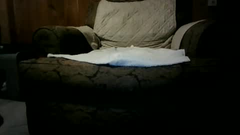 Snapshot of willnedoher chatting on January 5, 12:09 am Willhedoher online show from January 5, 12:09 am