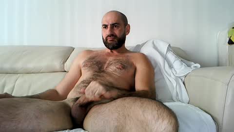 wolf online show from January 2, 1:19 pm