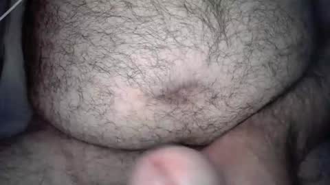 wolphox online show from November 11, 10:04 pm