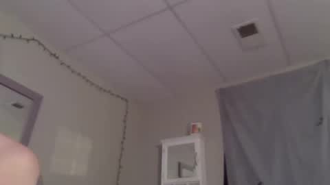 BONER DONOR online show from November 9, 12:42 pm