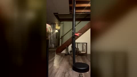 wyattmcc32288 online show from March 2, 8:10 am