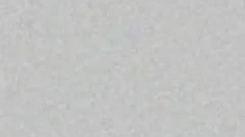 .     y e l l o w s n a k e s       . online show from April 16, 1:55 pm