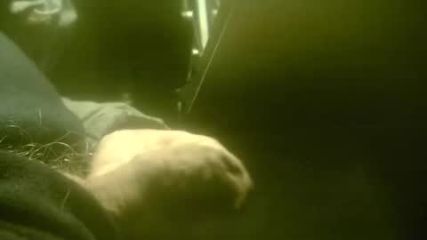 zaboski4 online show from January 11, 9:46 am