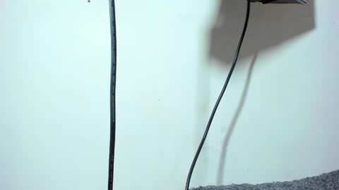 Zeus Brant online show from April 15, 7:58 pm