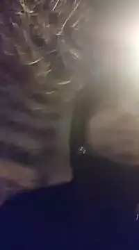 Snapshot of J0nyhson chatting on January 12, 8:47 pm J0nyhson online show from January 12, 8:47 pm