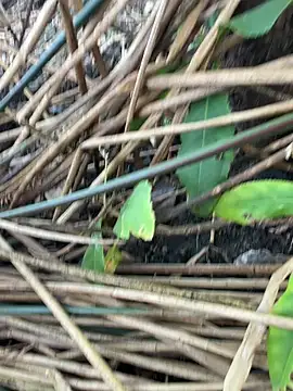 Yurt000 online show from September 11, 3:16 am