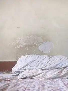 Rishimumbai hot online show from February 19, 5:16 am