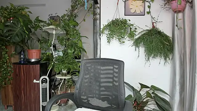 Oliver Nl online show from April 14, 4:56 am