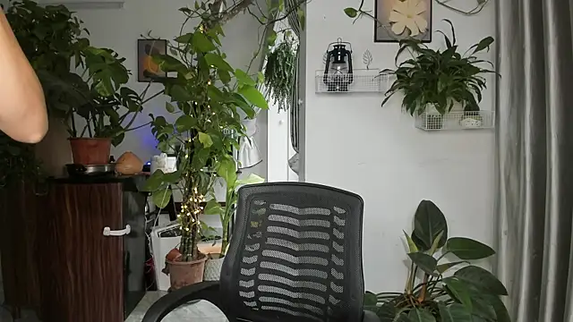 Oliver Nl online show from December 3, 5:24 am