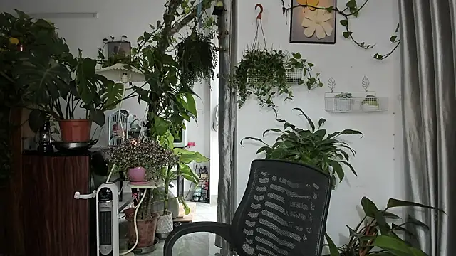 Oliver Nl online show from March 7, 4:32 am