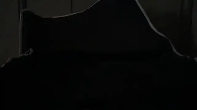 Dogz n daugthers online show from April 1, 2:25 pm