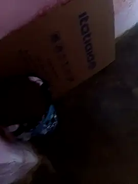 rau 4455 online show from November 2, 12:53 pm