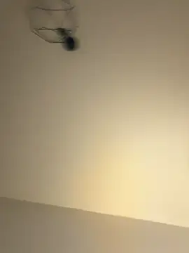 Guitccch online show from January 17, 6:33 pm