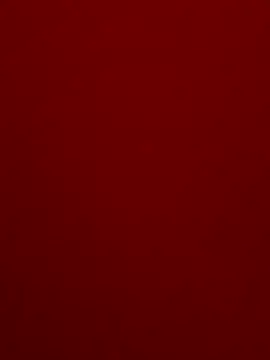 DurableFog online show from December 16, 8:43 am