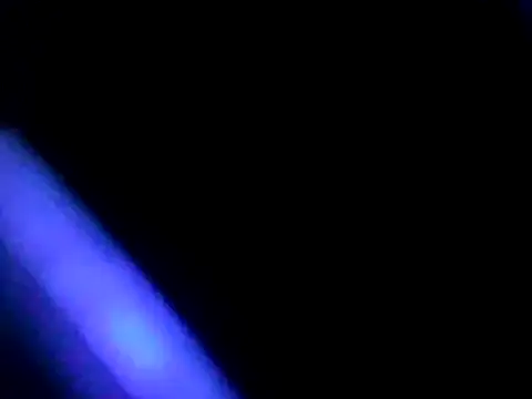 Javier bear online show from January 4, 10:38 am