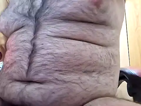 Javier bear online show from December 29, 11:07 am