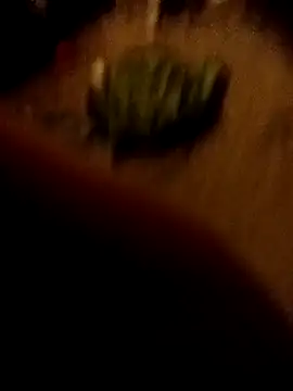 ySqmbVanbe online show from February 16, 1:36 am