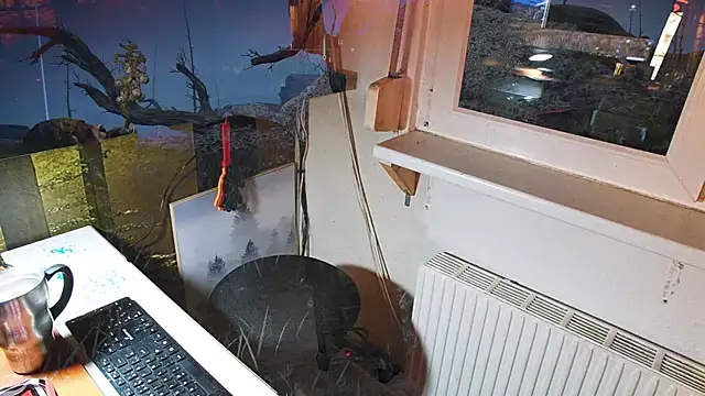 BongChannel online show from December 20, 9:17 pm