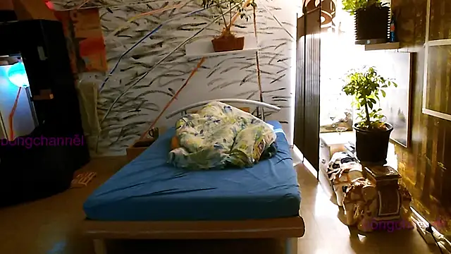 BongChannel online show from January 2, 11:41 am