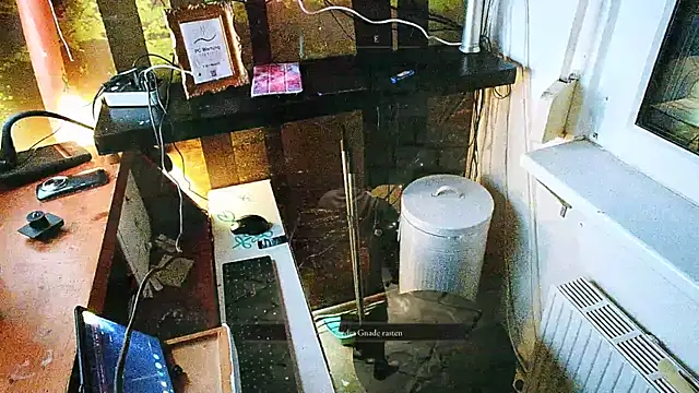 BongChannel online show from December 14, 5:29 am