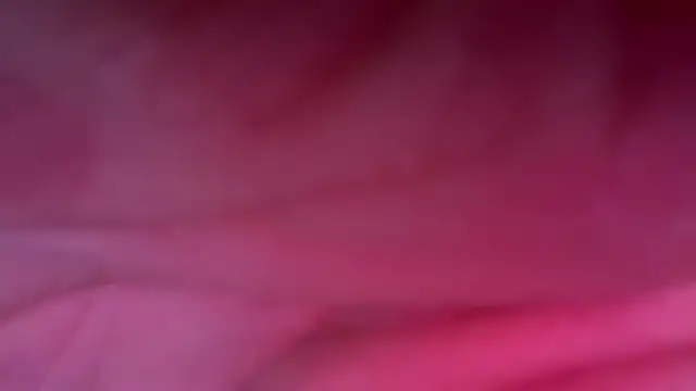 Snapshot of Sinepia chatting on October 24, 1:46 pm Sinepia online show from October 24, 1:46 pm