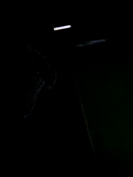 sexoooj online show from October 21, 2:58 am