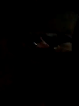 Hedygostozin online show from March 14, 10:33 am