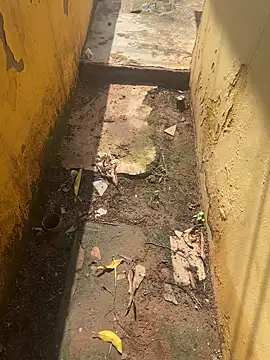 Black-mamba-madingo online show from October 10, 2:11 pm