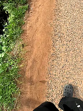 Black-mamba-madingo online show from October 15, 4:03 pm