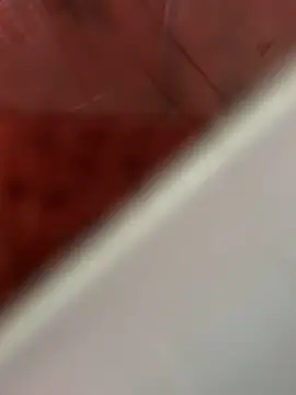 Snapshot of Nemadokmeg1111 chatting on February 10, 2:48 pm Nemadokmeg1111 online show from February 10, 2:48 pm