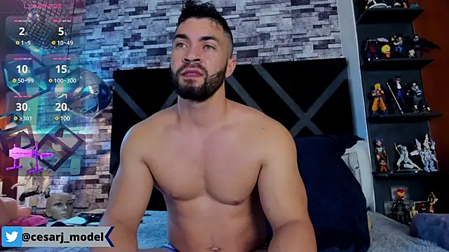 Snapshot of cesar_jonnes chatting on February 2, 9:13 pm cesar jonnes online show from February 2, 9:13 pm