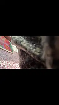 pervy devil online show from March 25, 3:05 pm