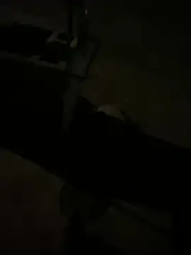 nowex18 online show from March 11, 6:42 am