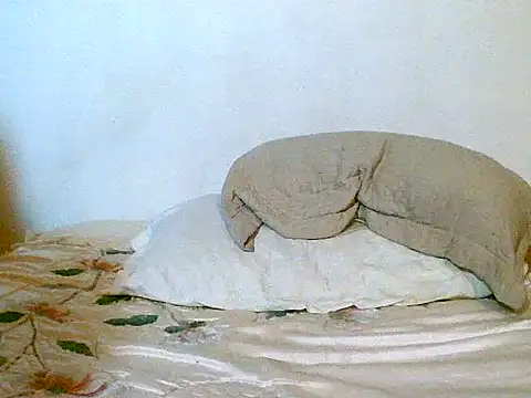 pollarikaaa online show from September 26, 4:54 am