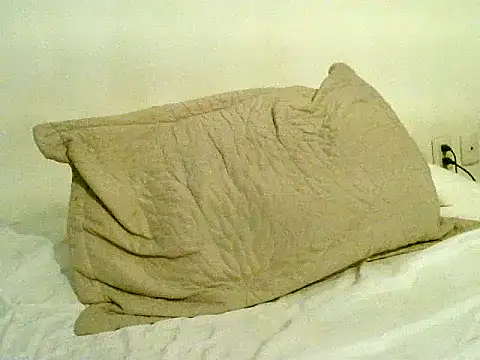 pollarikaaa online show from November 6, 10:57 pm